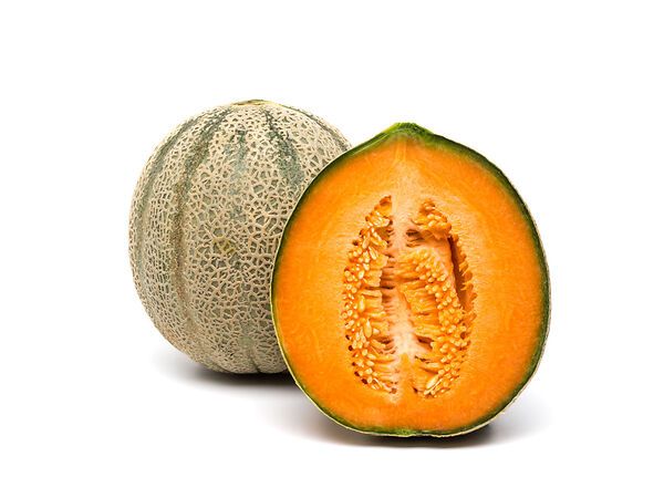 Melone retato