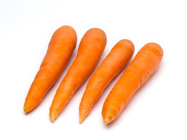 Carota